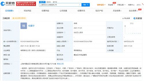 楊超越跨界進軍科技圈 投資成立傳媒公司，布局人工智能軟件開發(fā)